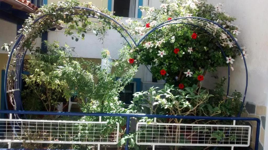 Apollonia Apartments Agia Pelagia Dış mekan fotoğraf