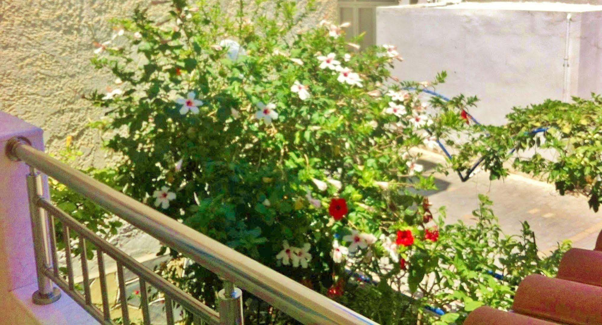 Apollonia Apartments Agia Pelagia Dış mekan fotoğraf