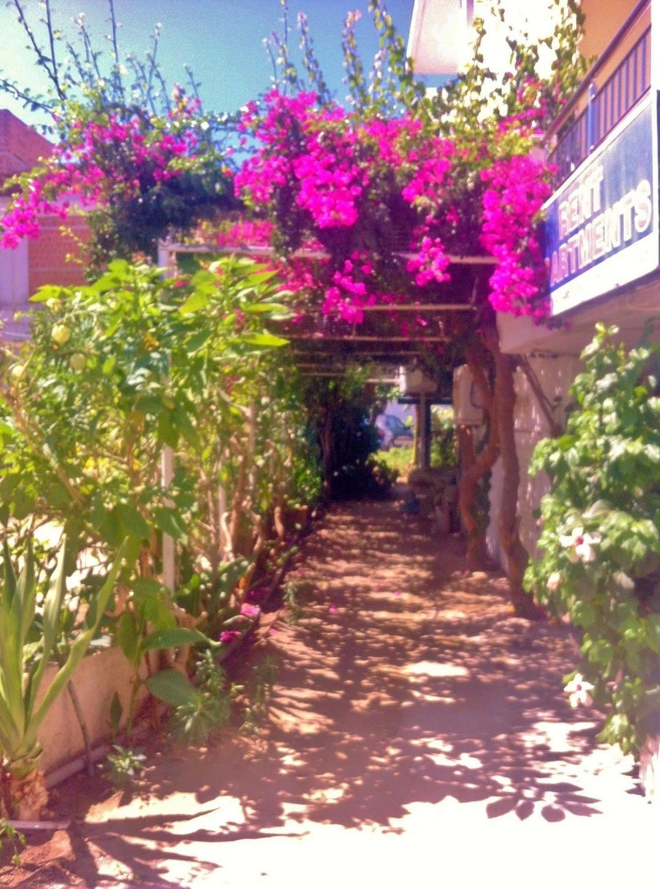 Apollonia Apartments Agia Pelagia Dış mekan fotoğraf